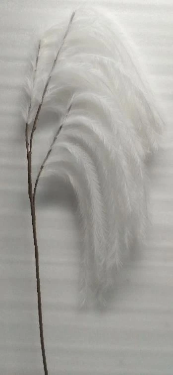 Feather Hanging Heavy